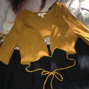 Large mustard crop top